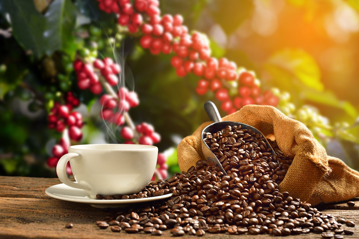 Kaffee? Ja, bitte, aber nicht zu viel!