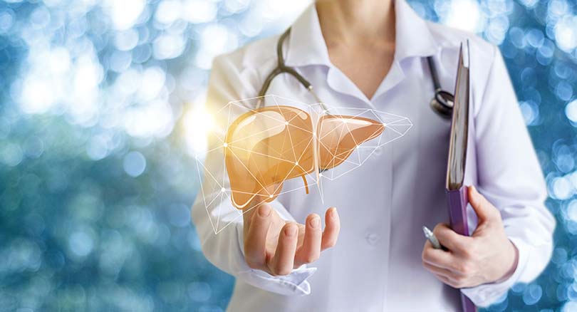 Mit natürlichen Vitalstoffen die Leber unterstützen