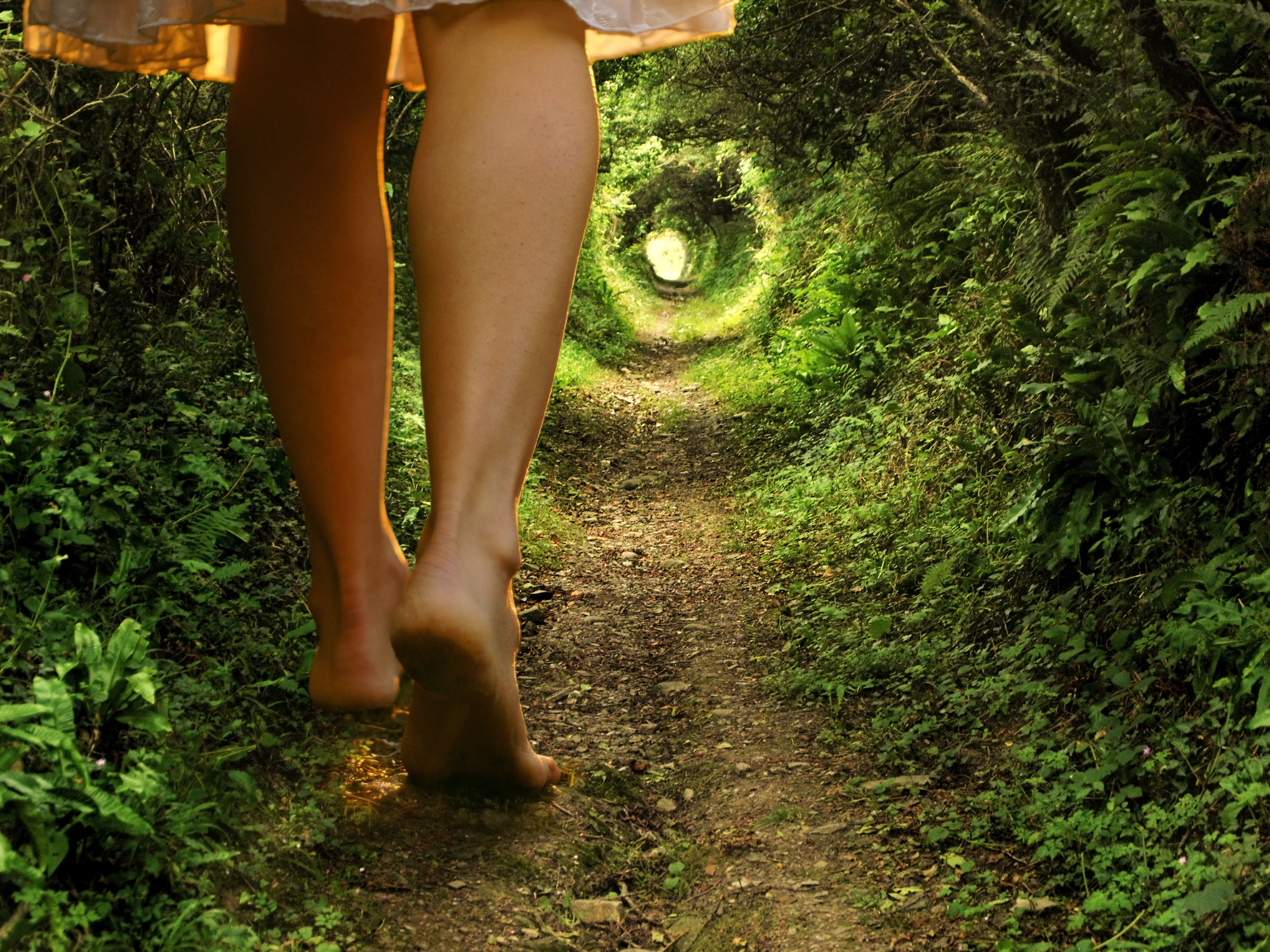 Alice im Wunderland – ein begleitend auftretendes Syndrom